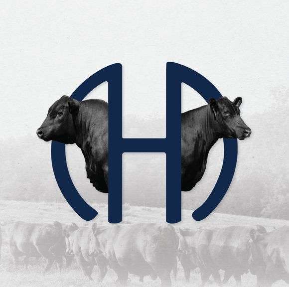 Mystic Hill Bull & Female Sale