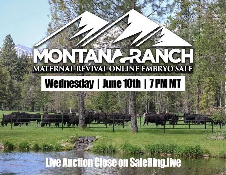 Montana Ranch Frozen Genetics Sale