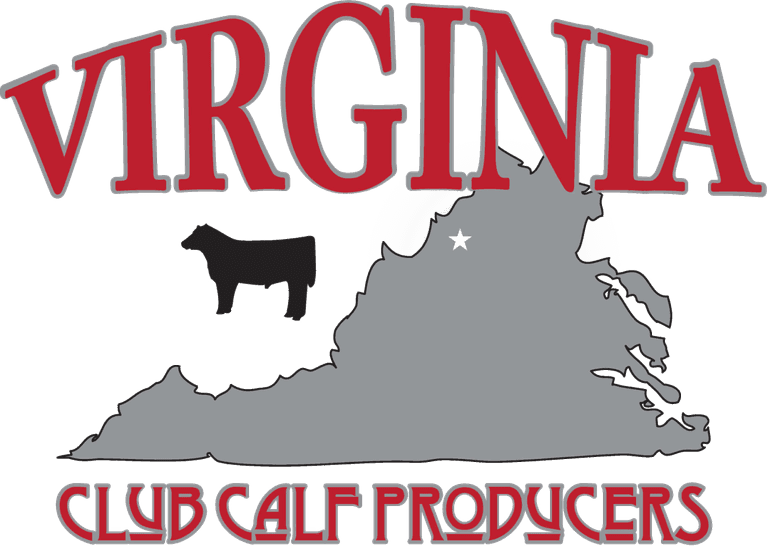 VCCP Best of the Valley Club Calf Sale