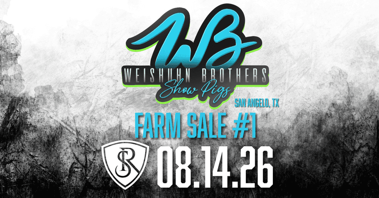 Weishuhn Brothers Showpigs Farm Sale #1