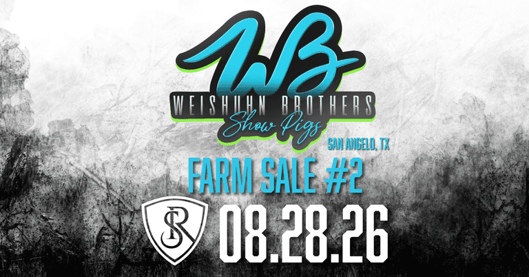 Weishuhn Brothers Showpigs Farm Sale #2
