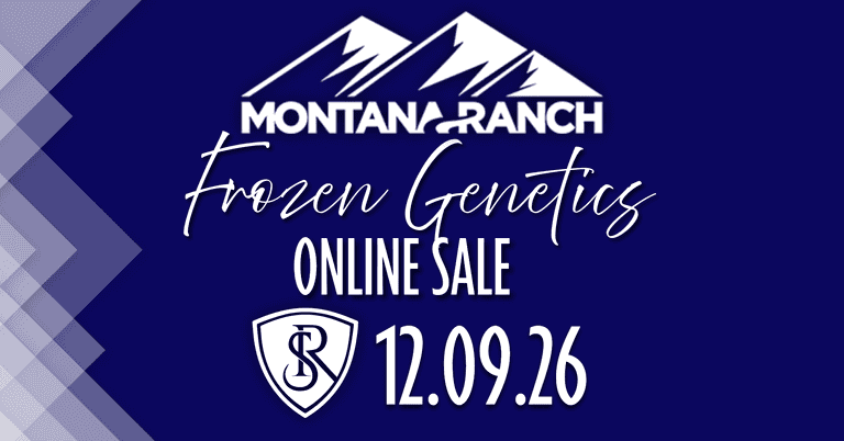 Montana Ranch Maternal Revival Frozen Embryo Sale 