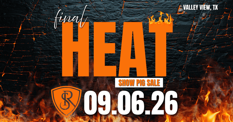 Final Heat Show Pig Sale