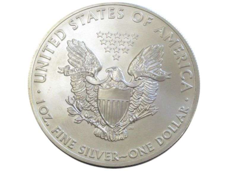2013 SILVER EAGLE