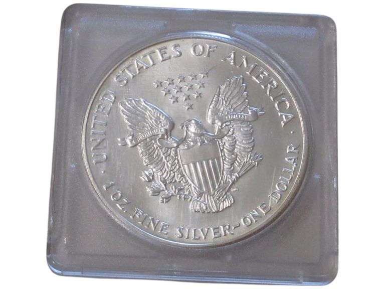 1993 American Silver Eagle  in Protective Case