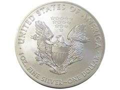 2013 SILVER EAGLE