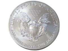 2013 American Silver Eagle  - 1 oz .999 Fine Silver