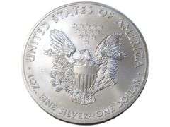 2013 American Silver Eagle  - 1 oz Fine Silver Bullion
