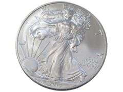 2013 American Silver Eagle  - 1 oz .999 Fine Silver