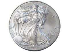 2013 American Silver Eagle  - 1 oz Fine Silver Bullion