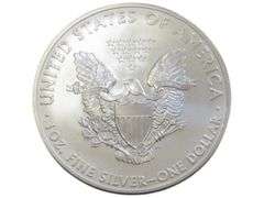 2013 $1 SILVER EAGLE