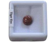 Tiger Eye Gemstone in Display Case