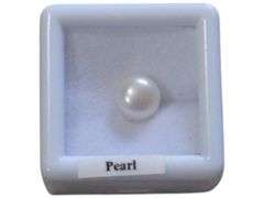 Elegant Natural Pearl in Display Case