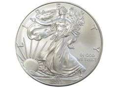 2013 SILVER EAGLE