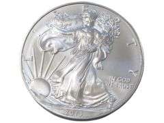 2013 American Silver Eagle  - 1 oz .999 Fine Silver