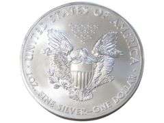 2013 American Silver Eagle  - 1 oz .999 Fine Silver
