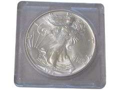 1994 American Silver Eagle  in Protective Case