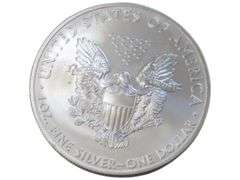 2013 American Silver Eagle  - Walking Liberty Design