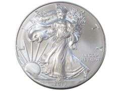 2013 American Silver Eagle  - 1 oz .999 Fine Silver