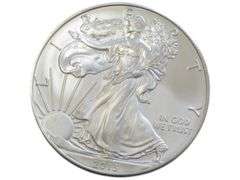 2013 $1 SILVER EAGLE