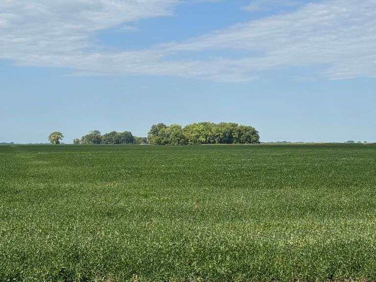 Virginia (Ginny) Westberg Land Sale