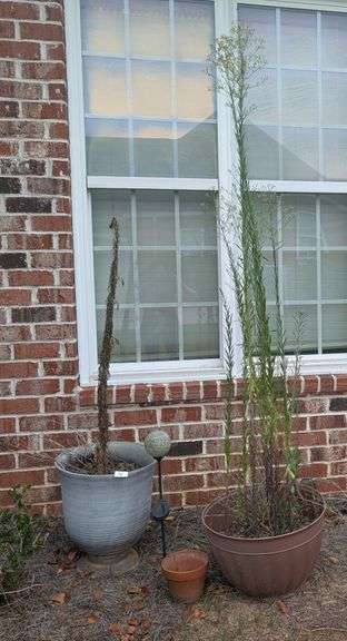 4 piece-planters,yard decor, small terracotta planter(located side of house)