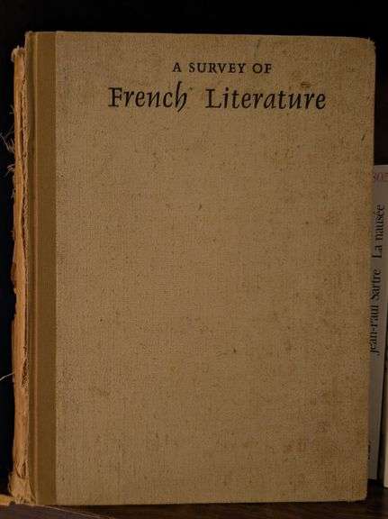 Matching Bookends bookshelf lot-A Survey of French Literature and more, some damage to books(master 