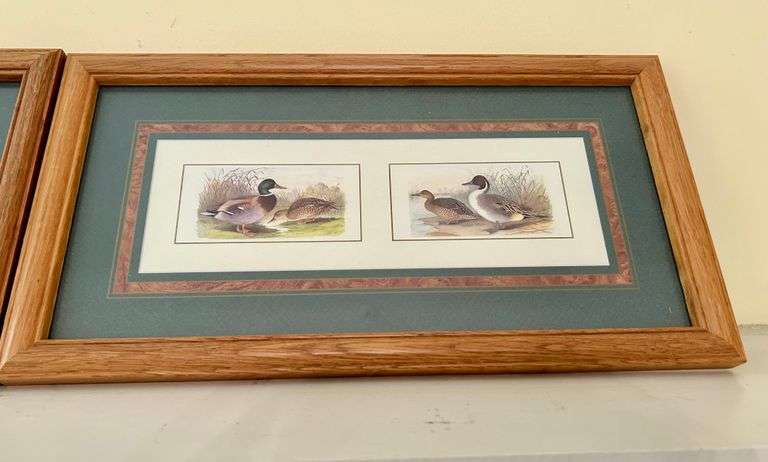 2pc Framed Duck Art 9 1/4”x17 3/8” (Located in Living Room)