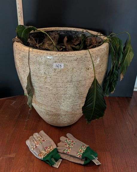 3 pc. Large planter with garden gloves(located near front door)
