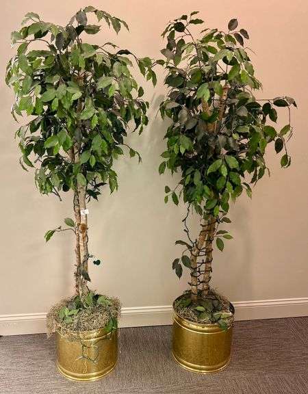 2pc Artificial Trees with Metal Bases and Christmas Lights 71” Tall