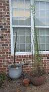 4 piece-planters,yard decor, small terracotta planter(located side of house)