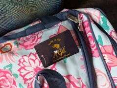 Large Aimee Kestenberg suitcase 19"x11"x30.5"tall and N Girl travel bag (located in ds front bedroom