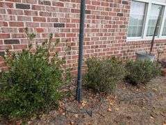 Large metal yard decor, 50" wide x 96" tall(located side of house)