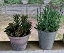 5pc Artificial Plants & Thermometer (Located Back Patio)