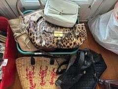 Bin of Totes and Purses (Located in Living Room)