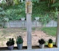 5pc Artificial Plants & Thermometer (Located Back Patio)