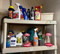 5 Shelf Lot of Gardening Items, Clay Pots, Water Pitchers and More (Shelving Unit Not Included) (Loc
