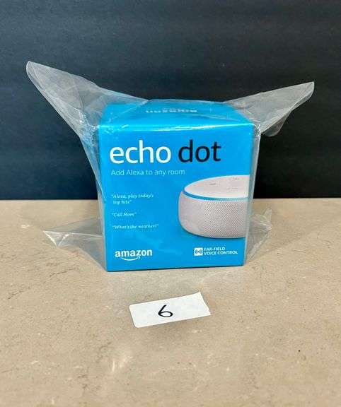 Amazon Echo Dot (Located in Kitchen)