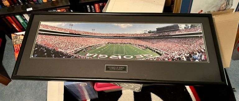 Georgia Bulldog Framed Photo 16”x41 1/8”