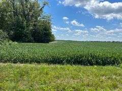 30 + or – Acre Prime Effingham County Land