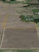 30 + or – Acre Prime Effingham County Land