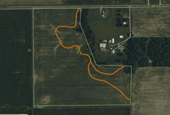 30 + or – Acre Prime Effingham County Land
