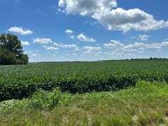 30 + or – Acre Prime Effingham County Land