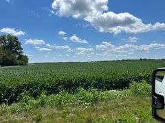 30 + or – Acre Prime Effingham County Land