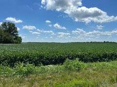30 + or – Acre Prime Effingham County Land
