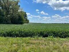 30 + or – Acre Prime Effingham County Land