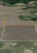 30 + or – Acre Prime Effingham County Land
