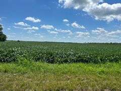 30 + or – Acre Prime Effingham County Land