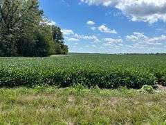 30 + or – Acre Prime Effingham County Land