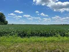 30 + or – Acre Prime Effingham County Land